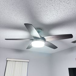 Hunter 52” Ceiling Fan