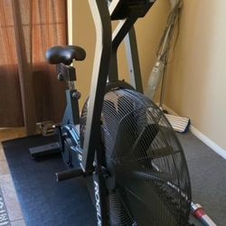 Rogue Echo Bike Cardio Workout Endurance Cross Fit