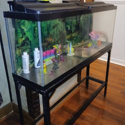 Fish Tank With Stand