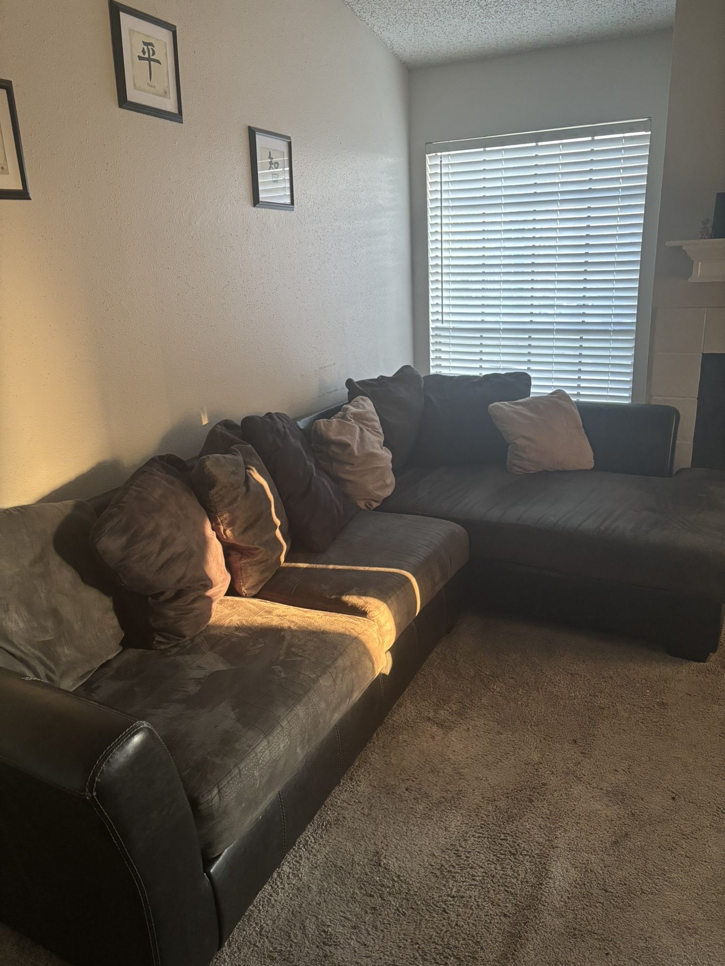 Sectional Couch
