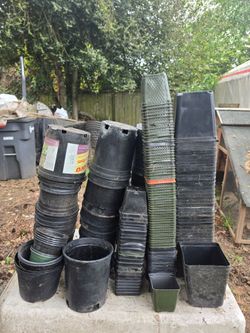 Garden pots diferents sizes  diferents prices 1 gallon and 2 gallon