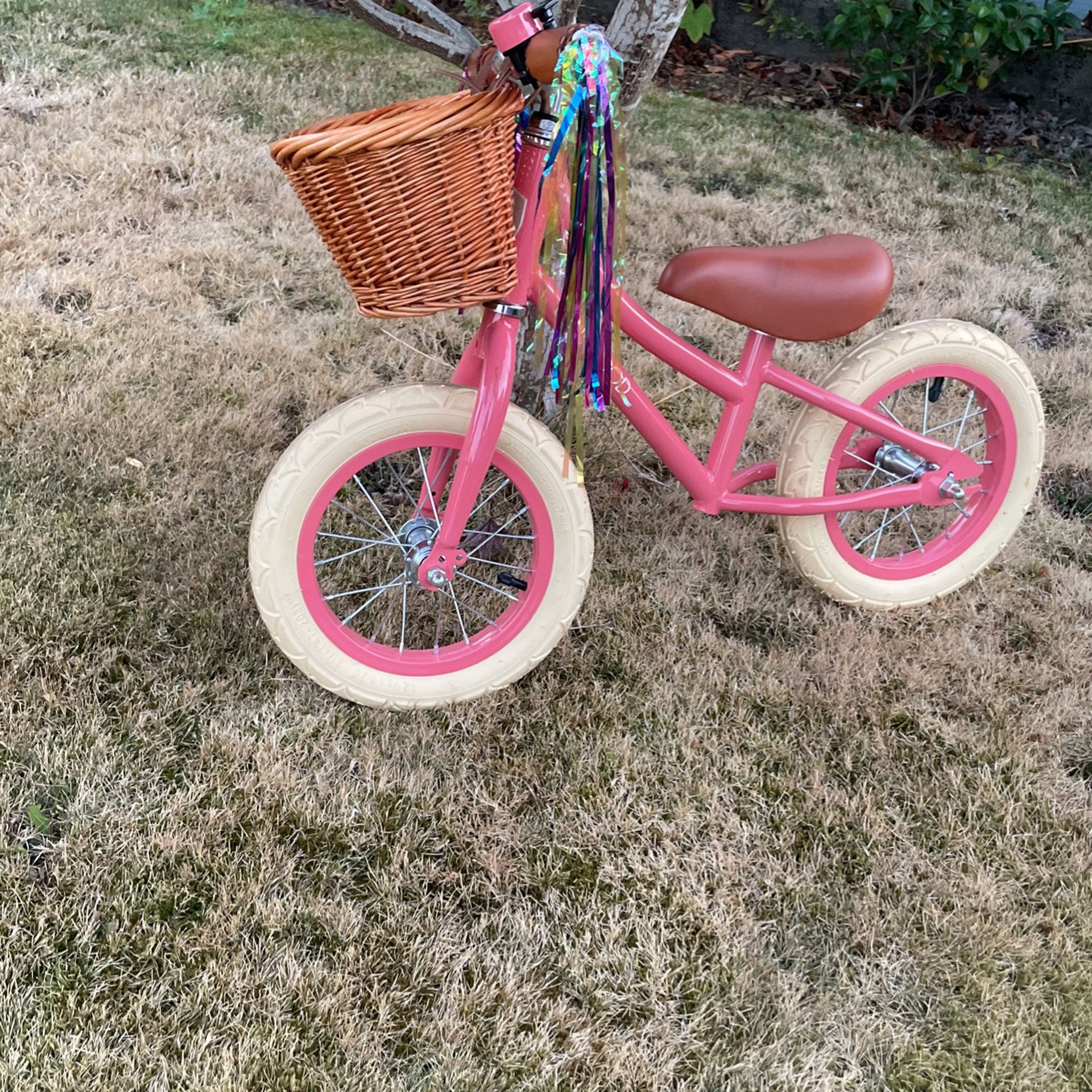 Banwood Toddler Balance Bike