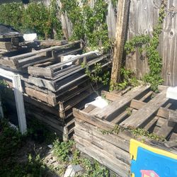 Free Palettes Measures 4 X 8