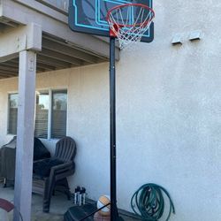 Lifetime Basketball Hoop