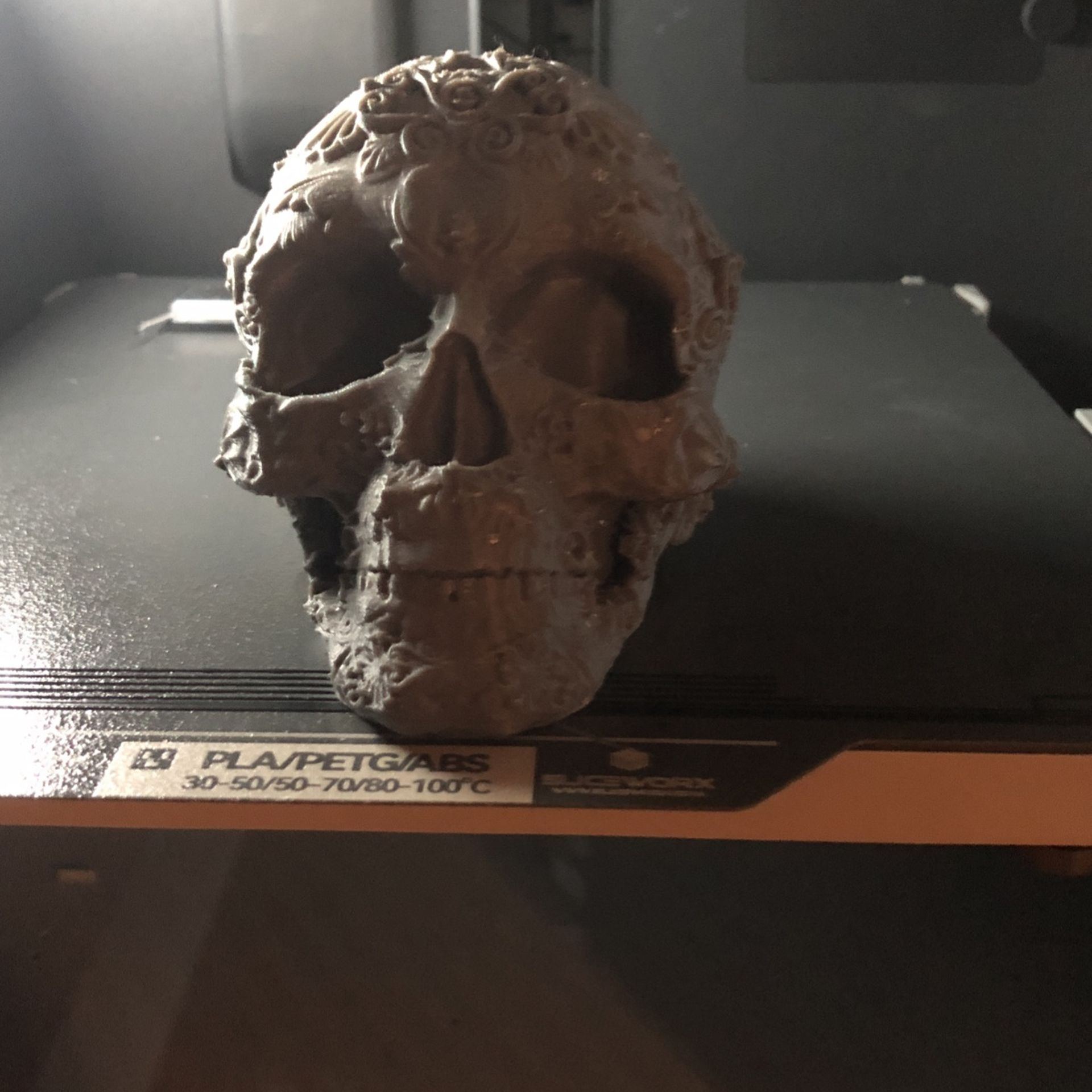 3d Printed Black Skull