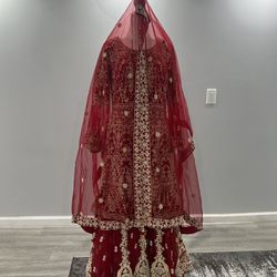 Red And Gold Hindi Dress With Jewelry 