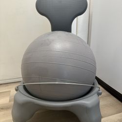 Balance Ball Chair 