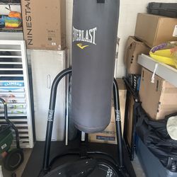 Everlast Heavy bag & Speed bag combo 