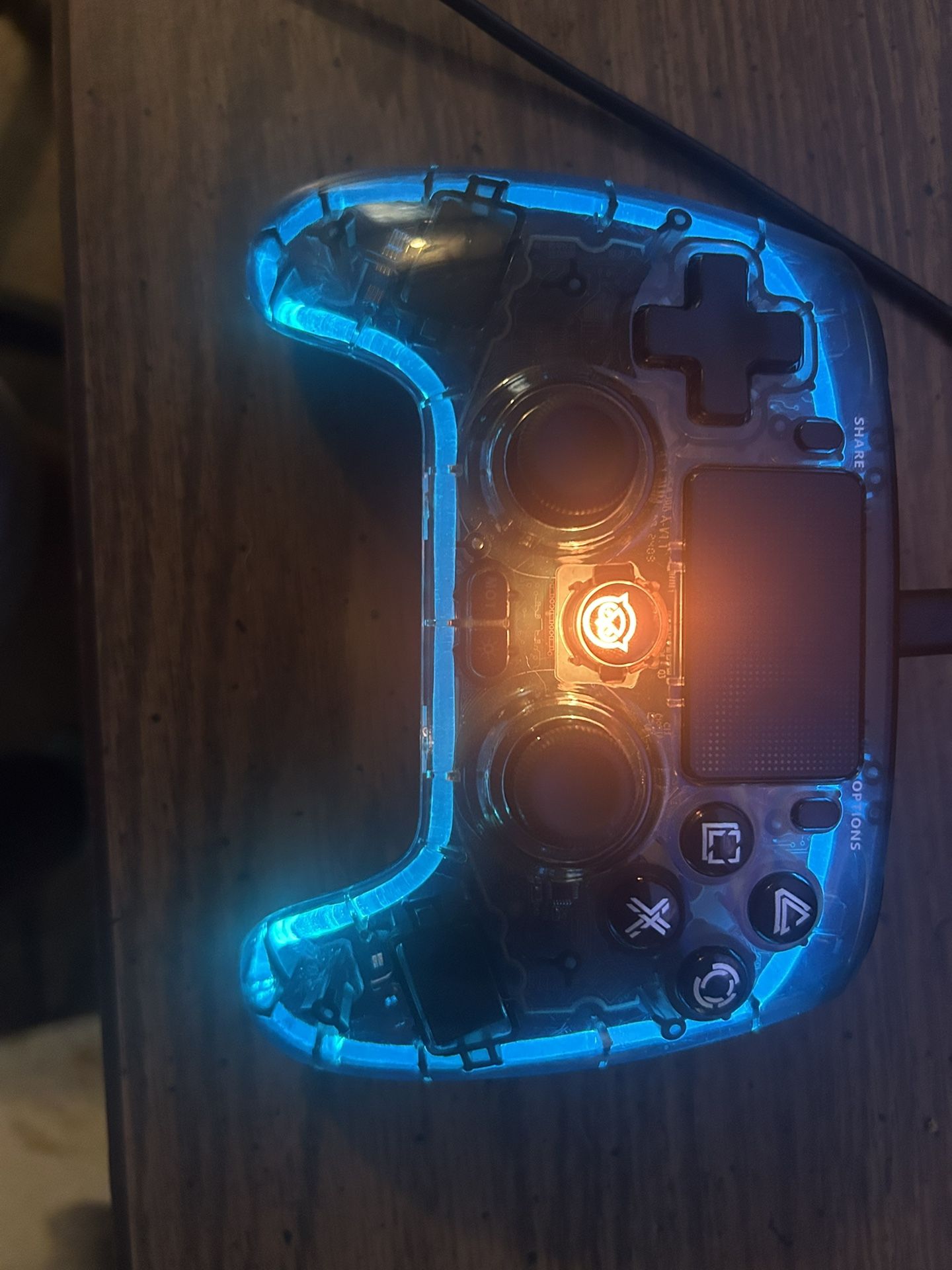 Custom PS4 Controller