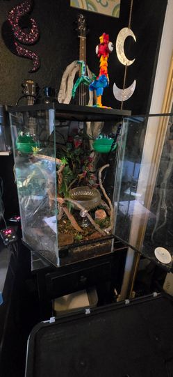 Terrarium
