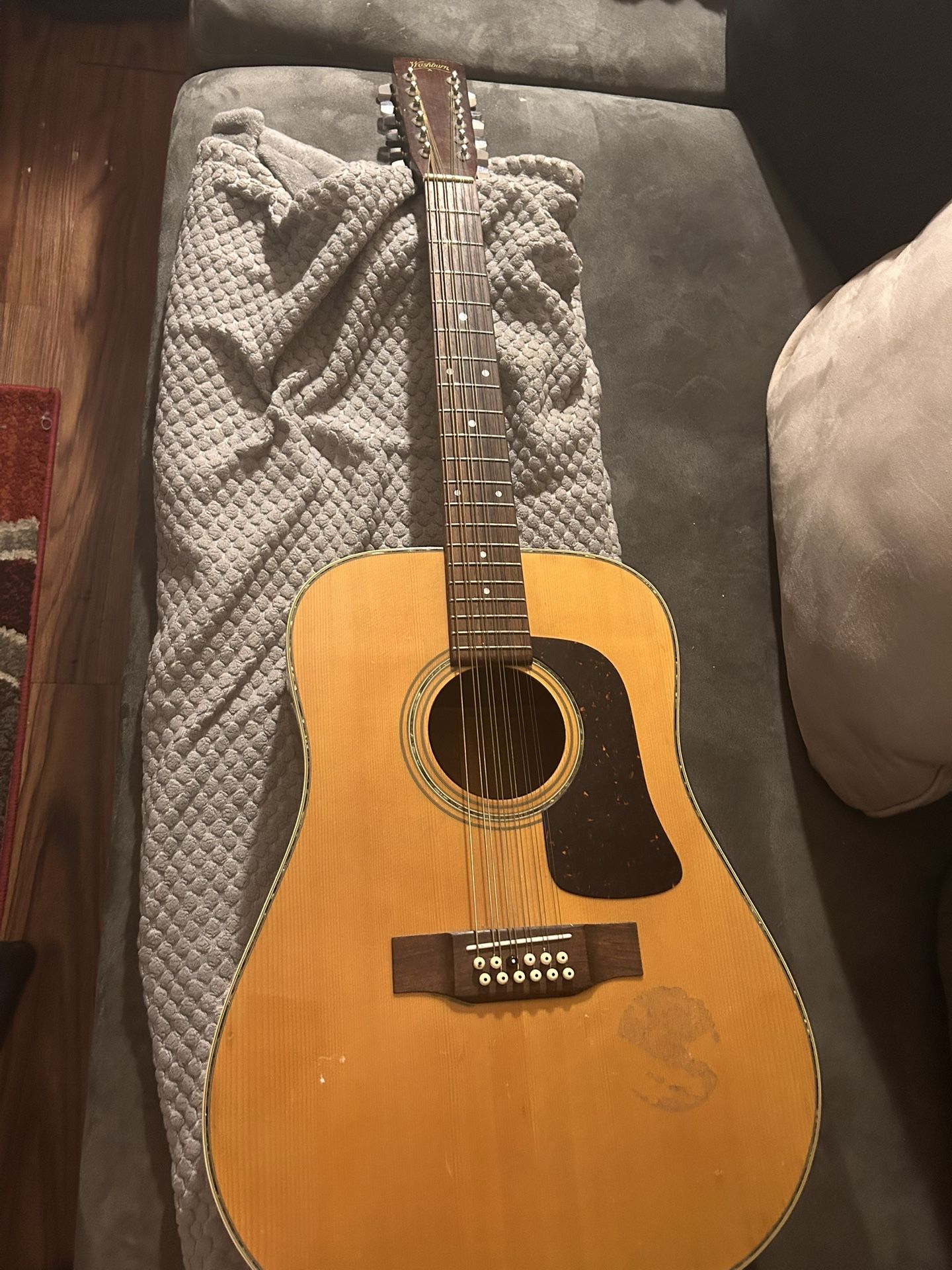 wash burn 12 string