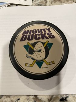 Hockey Puck