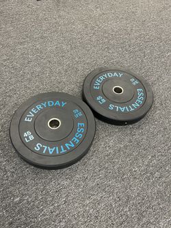 ‼️SALE PRICE‼️ (Brand New In Box) Pair Of 45lb Olympic Bumper Plates - Click On My Profile For More Gym Equipment 