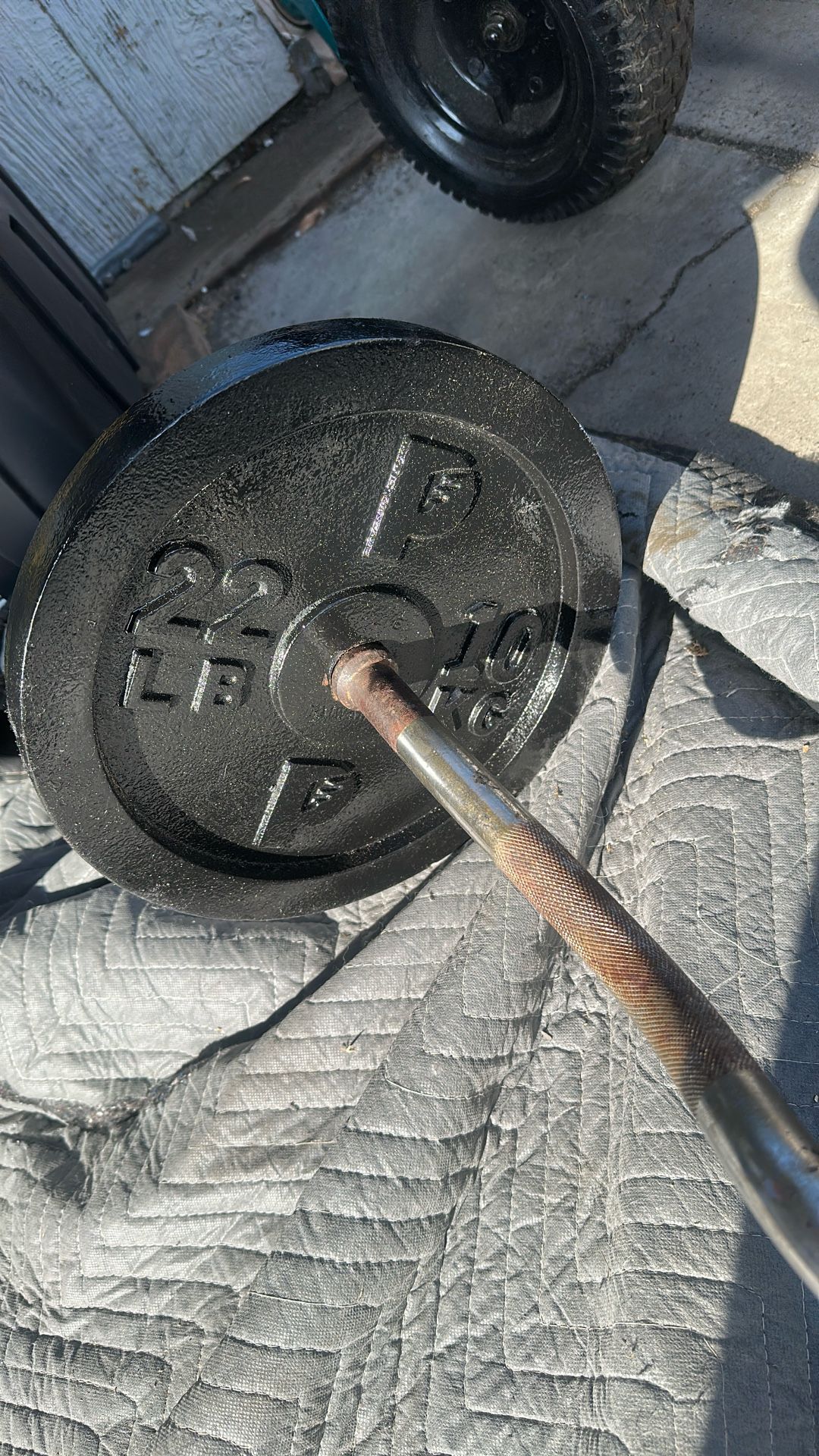 Weights With Curl Bar
