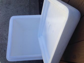 Insulated styrofoam container cooler or cooler bag