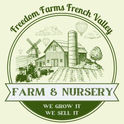 Fresh Produce - Farm Stand Saturday Morning