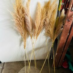 Dried Pampas Grass Stems Bundle