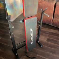 Work Out Bench