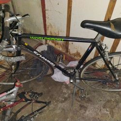 Schwinn Would sport 