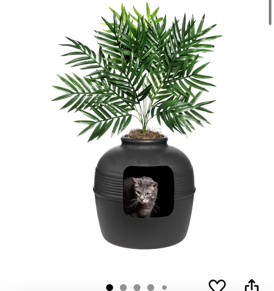 Cat Plant Box
