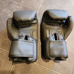 Punching Bag And GLOVES 