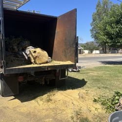 🦫Stump Removal🦫