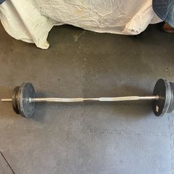 Weights and Curl Bar