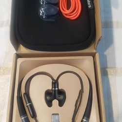 Jabra Evolve 65e Earbuds