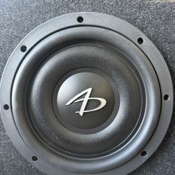 2 10inch Audio Dynamic Subs For Trucks 
