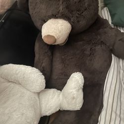 Polar Bear And Brown Bear