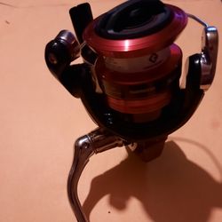 Shimano Sienna 500 FG Spinning Fishing Reel - Brand New, Never Even Had Line On It.