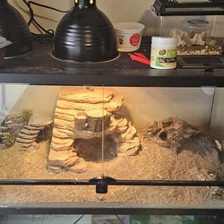 Glass Tank and all supplies