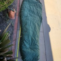 Vintage the north face down sleeping bag brown label
