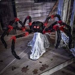 Jumping spider red n black