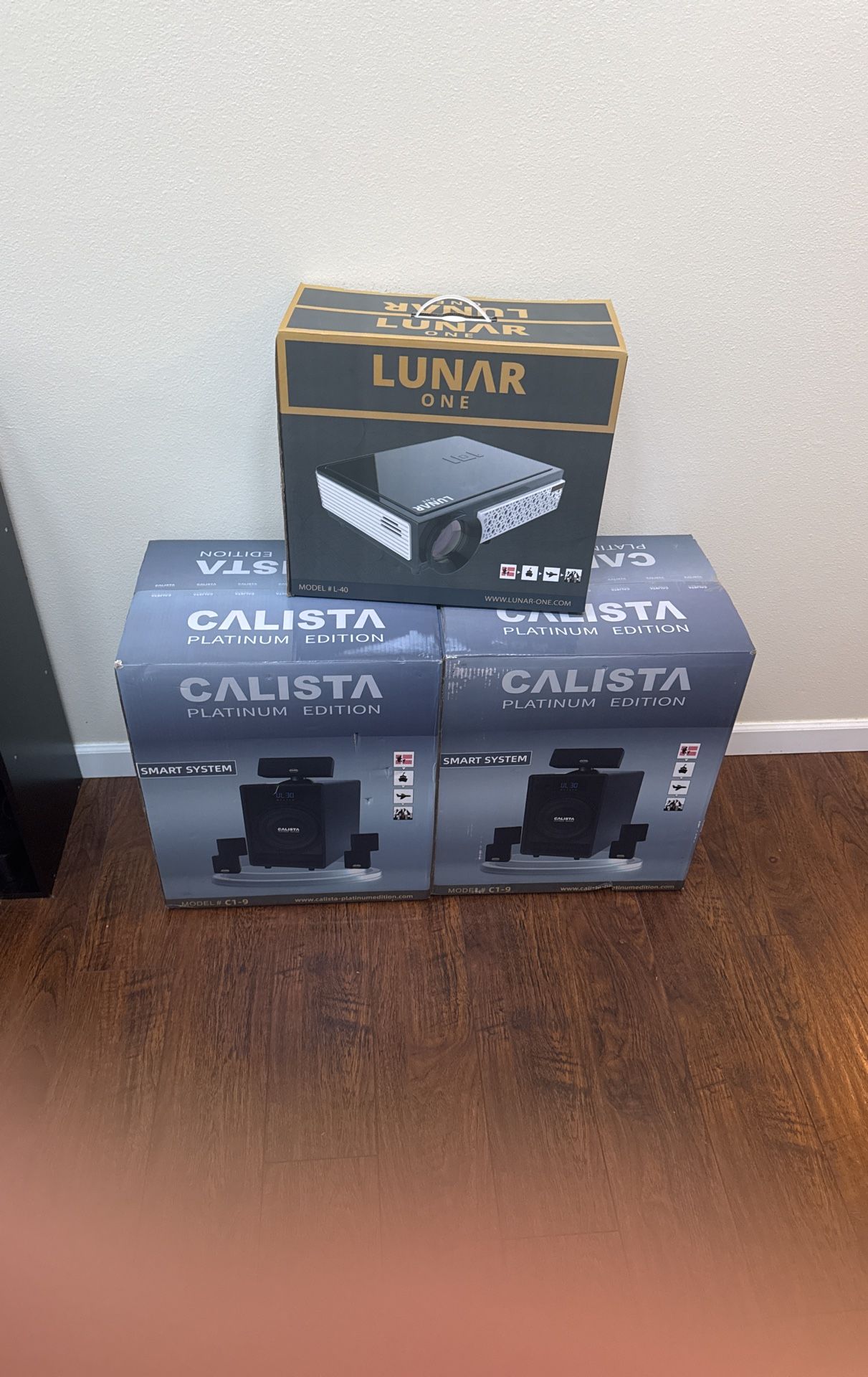 Calista Platinum Sound System And Lunar Oen Projector