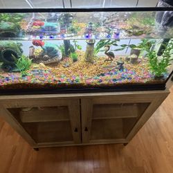 20 Gallon Aquarium with Stand and Everything Included !Excellent Conditions!