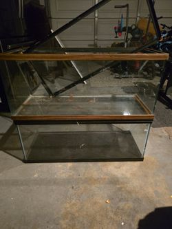 20 gallon terrarium tanks