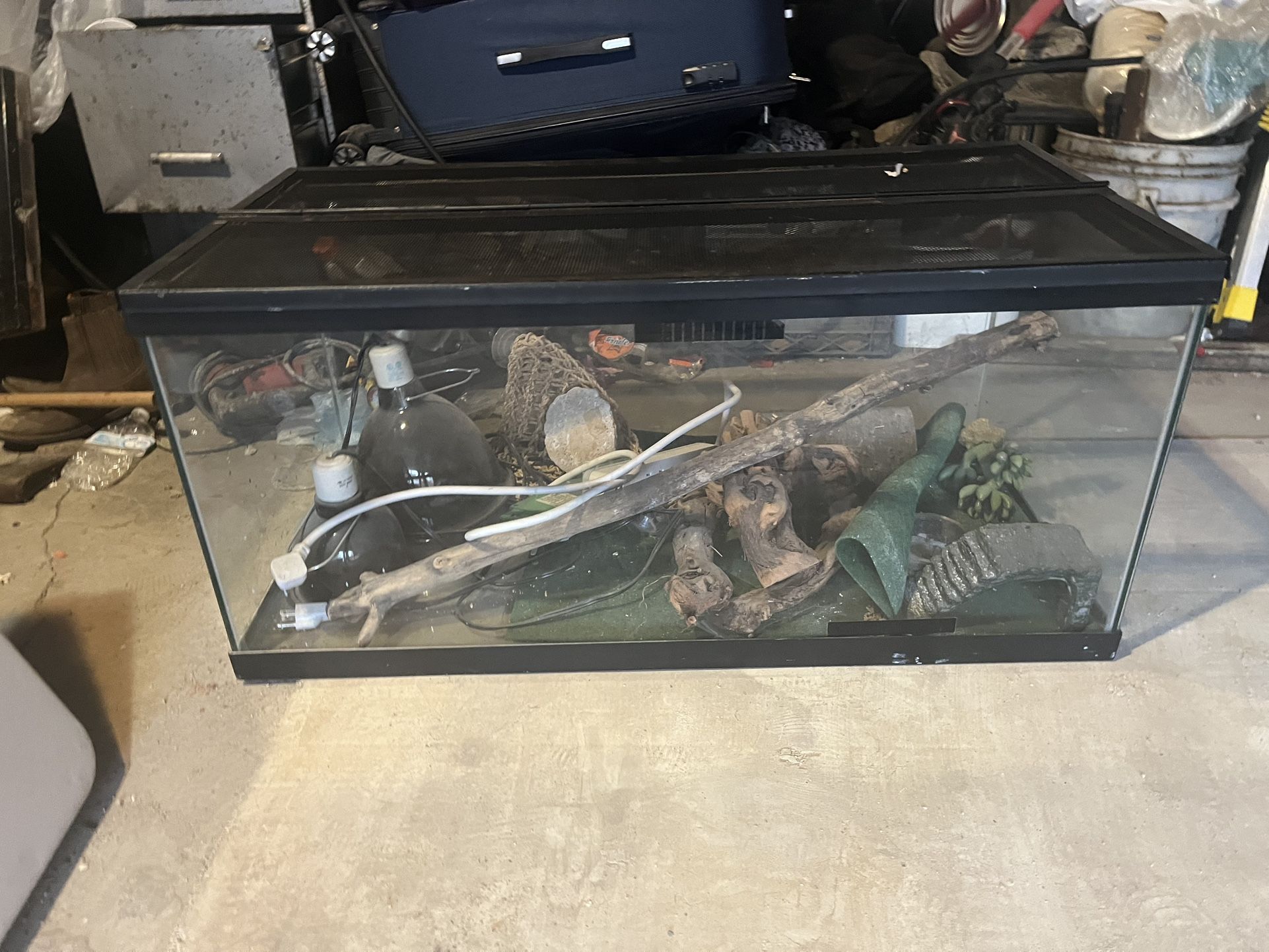 Tank For Lizards