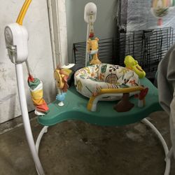 Baby Bouncer 