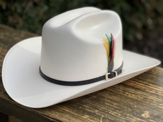 SOMBRERO 5000X ALEGRES DEL BARRANCO HORMA SINALOA