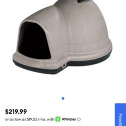 Dog House 