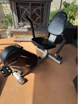 Stamina Dual Action Recunbent Bike