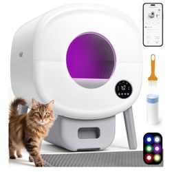Litter Box 
