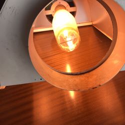 1000 Watt Grow Light With Amp