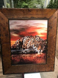 Handstand frame of leopard with the reflection in the water