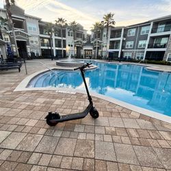 Scooter Its Perfect It Got Nothing Wrong 