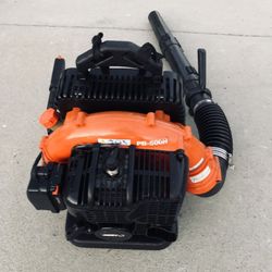 Echo Commercial Gas Blower 