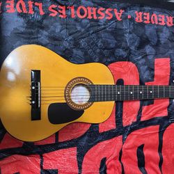 Small Acoustic Guitar 