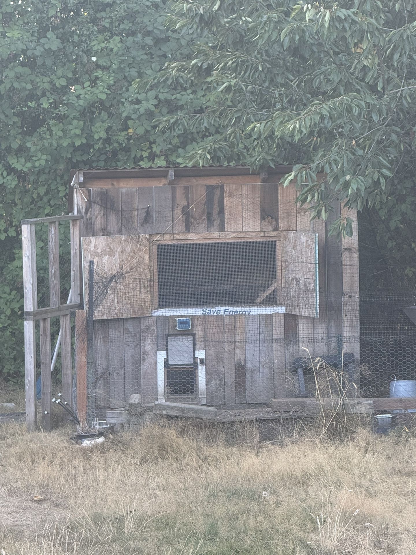 Chicken Coop