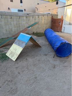 Dog agility equipment